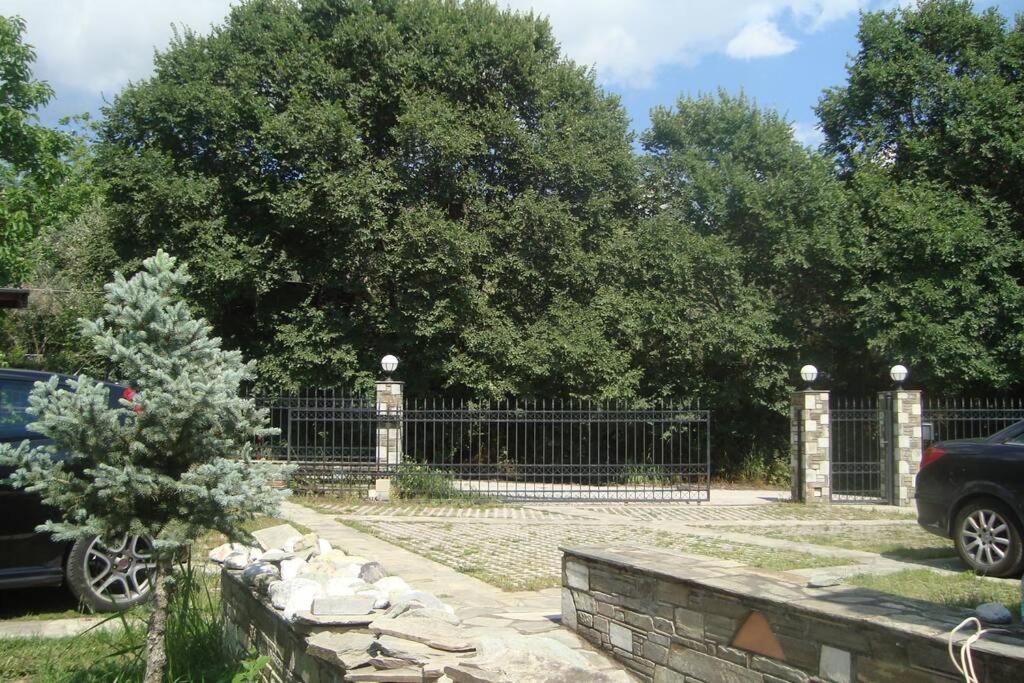 Apartament Ileana'S House Wolos Zewnętrze zdjęcie
