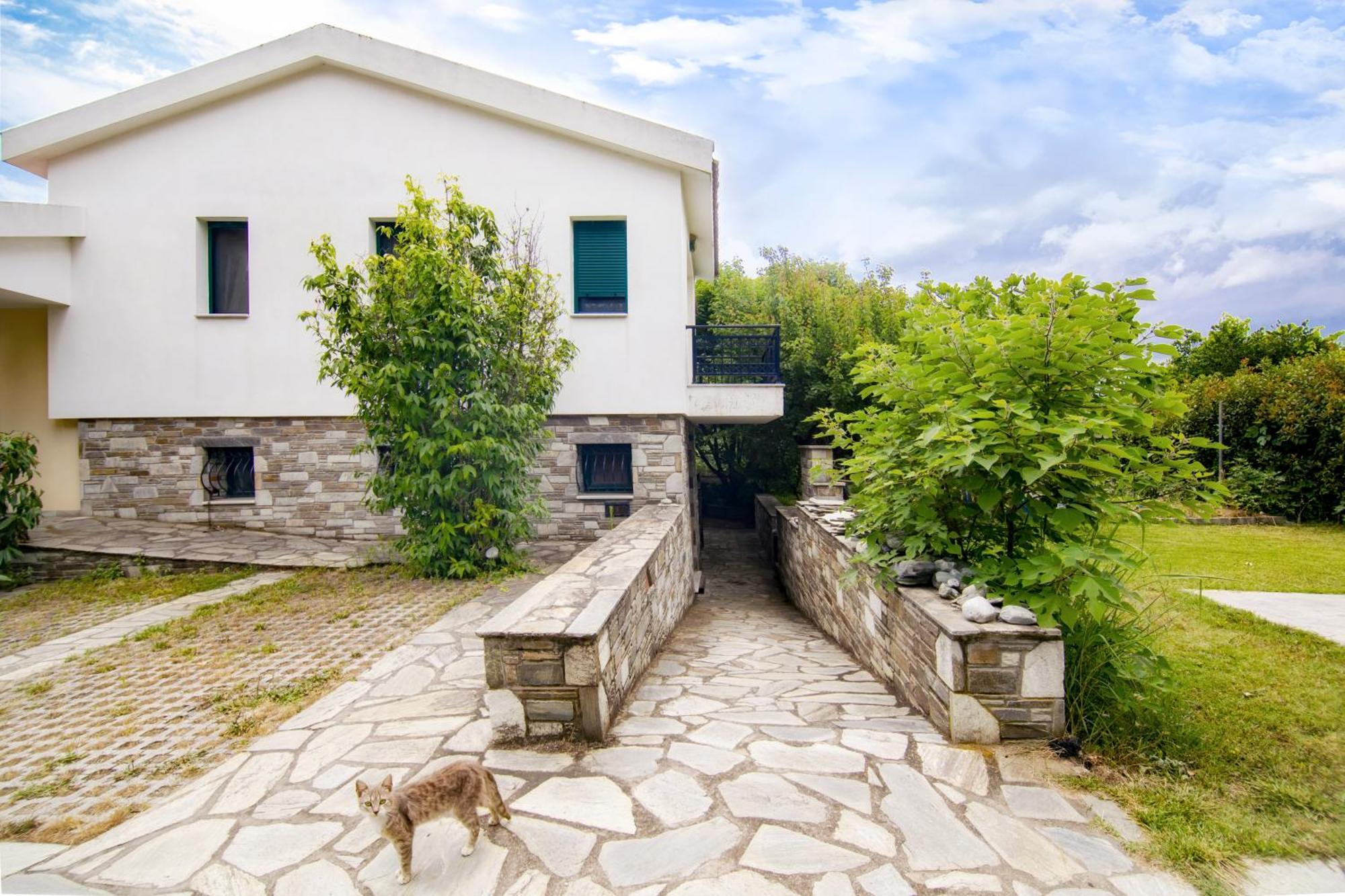 Apartament Ileana'S House Wolos Zewnętrze zdjęcie